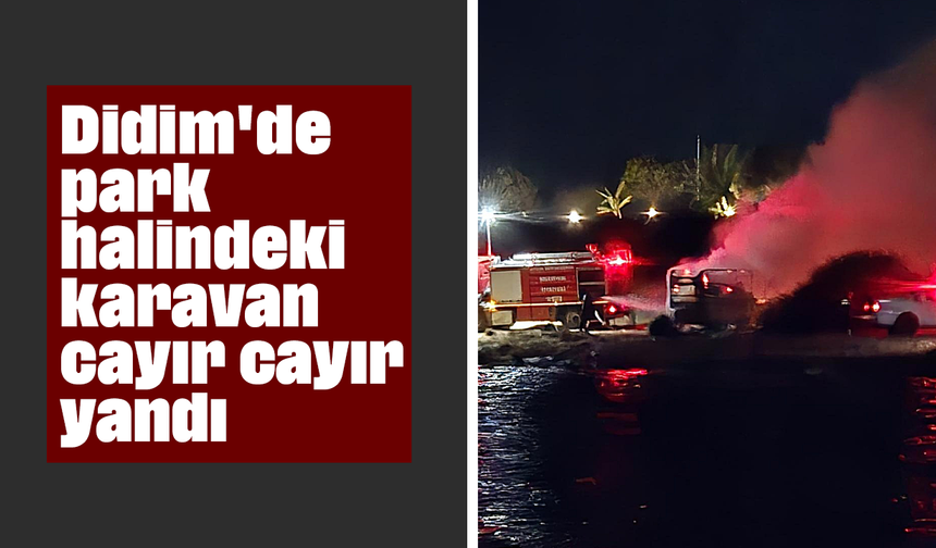 Didim'de park halindeki karavan cayır cayır yandı