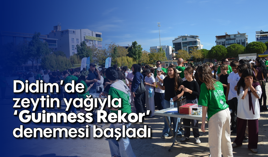 Didim’de zeytin yağıyla 'Guinness Rekor' denemesi başladı