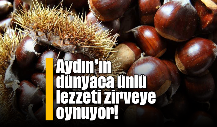 Aydın'ın dünyaca ünlü lezzeti zirveye oynuyor!