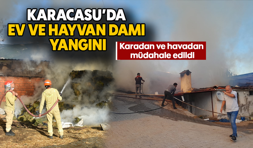 Karacasu'da ev ve hayvan damı yangını: Karadan ve havadan müdahale edildi