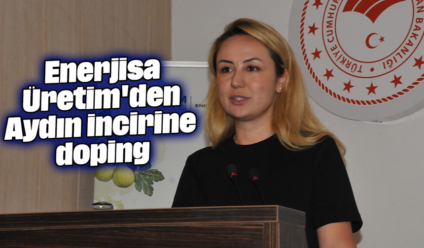 Enerjisa Üretim'den Aydın incirine doping