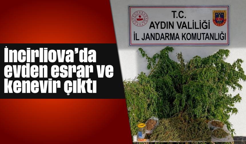 İncirliova’da evden esrar ve kenevir çıktı
