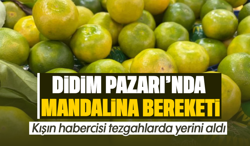 Didim Pazarı'nda mandalina bereketi: Kışın habercisi tezgahlarda yerini aldı