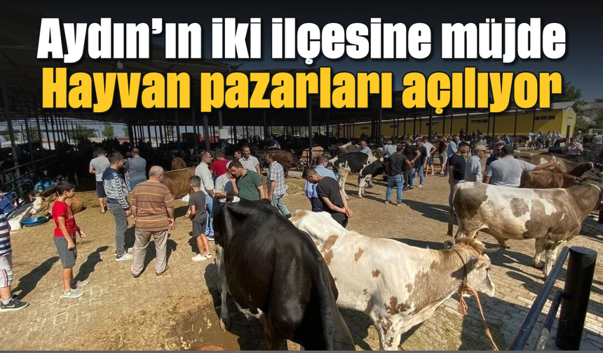 Aydın'ın iki ilçesine müjde: Hayvan pazarları açılıyor