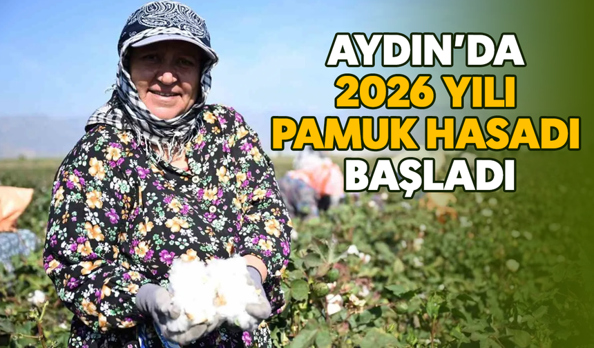Aydın’da 2026 yılı pamuk hasadı başladı