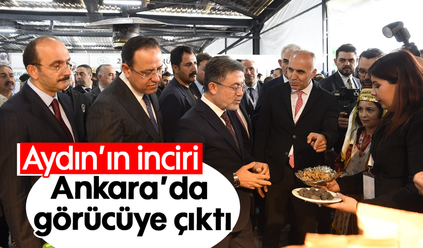 Aydın’ın inciri Ankara’da görücüye çıktı