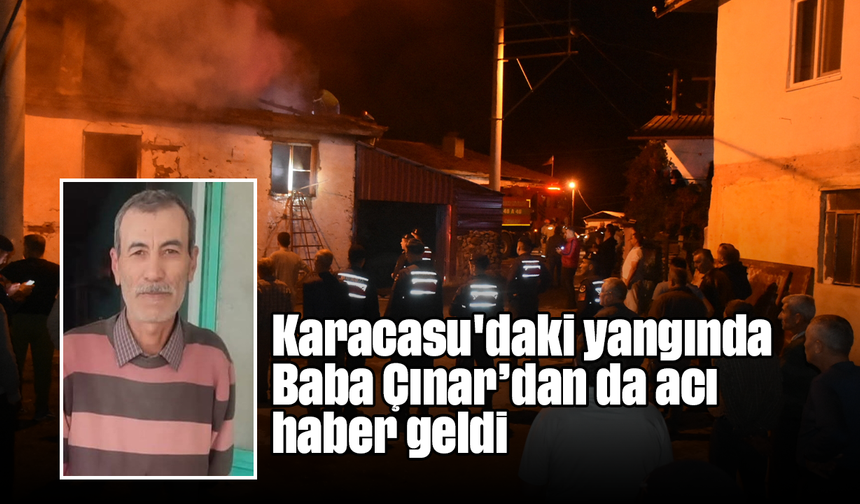 Karacasu'daki yangında Baba Çınar’dan da acı haber geldi
