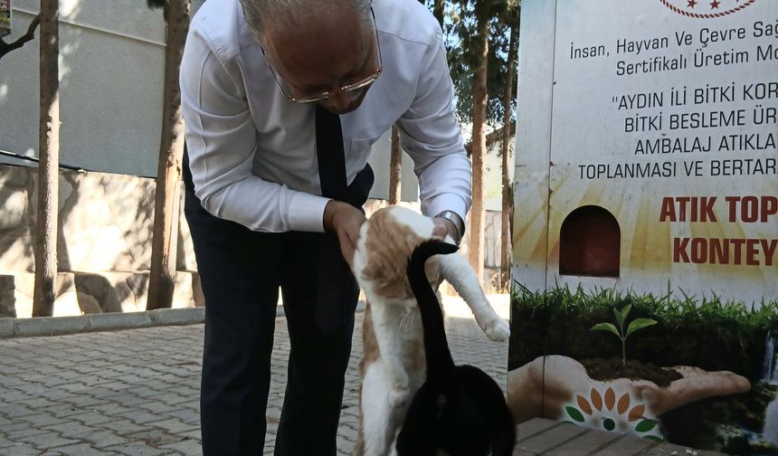 Karacasu'da sokak canlarına Müdür şefkati