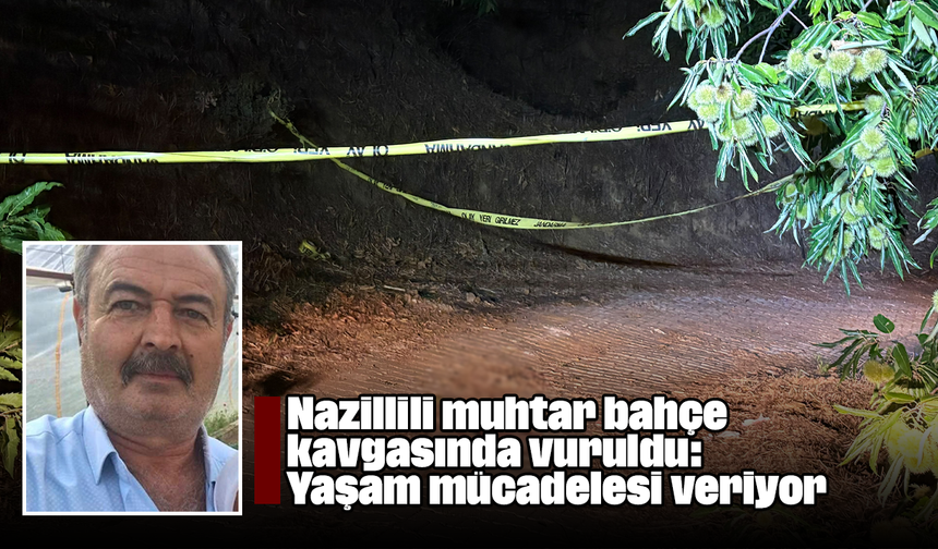 Nazillili muhtar bahçe kavgasında vuruldu: Yaşam mücadelesi veriyor