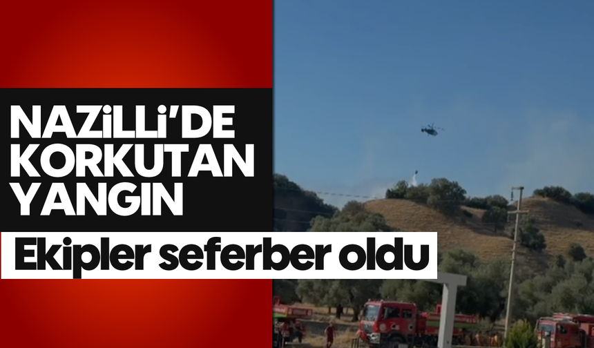 Nazilli'de alevler yükseldi: Ekipler seferber oldu