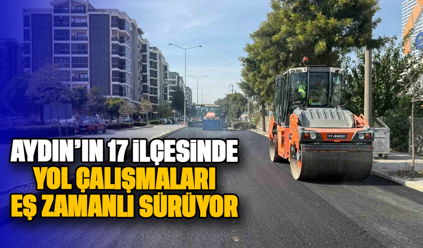Aydın’ın 17 ilçesinde yol çalışmaları eş zamanlı sürüyor
