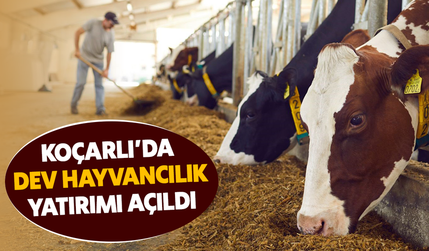 Koçarlı’da dev hayvancılık yatırımı açıldı