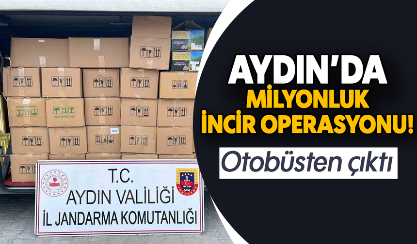 Aydın'da milyonluk incir operasyonu! Otobüsten çıktı