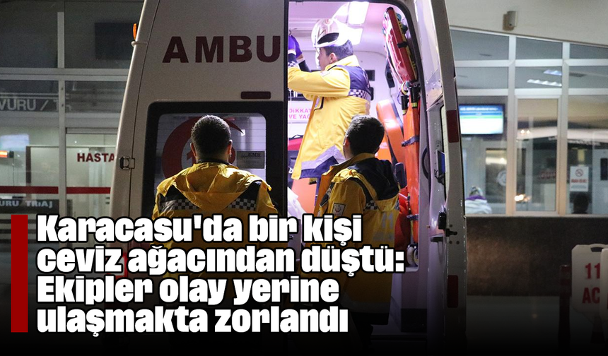 Karacasu'da bir kişi ceviz ağacından düştü: Ekipler olay yerine ulaşmakta zorlandı
