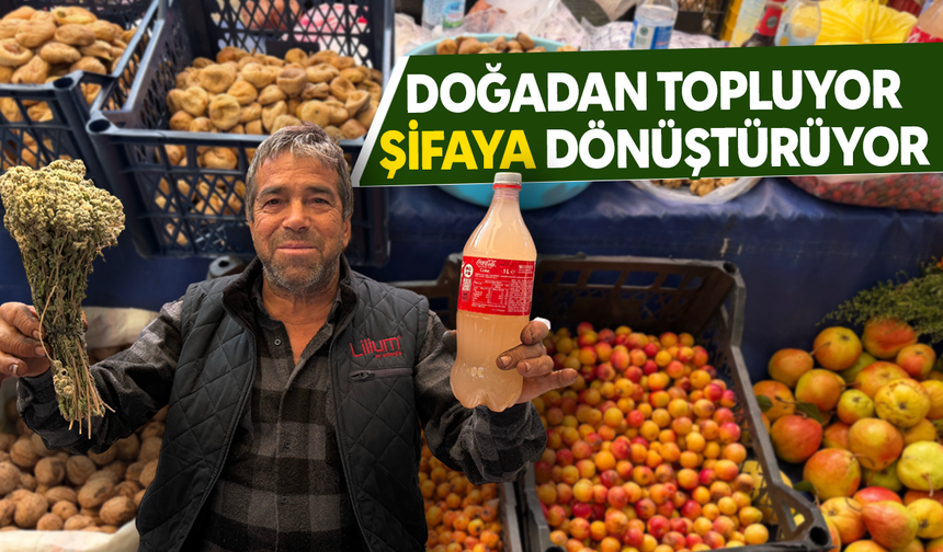 Doğadan topluyor, şifaya dönüştürüyor