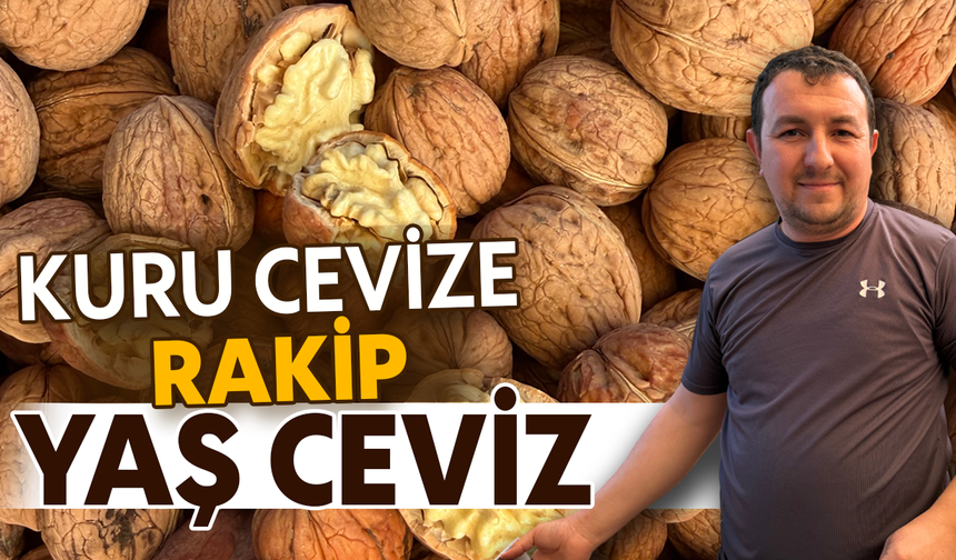 Kuru cevize rakip, yaş ceviz