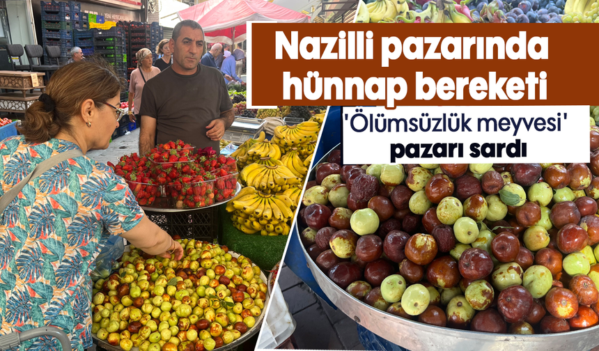 Nazilli pazarında hünnap bereketi : 'Ölümsüzlük meyvesi' pazarı sardı