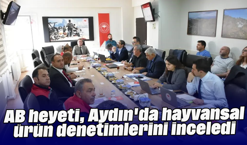 AB heyeti, Aydın'da hayvansal ürün denetimlerini inceledi