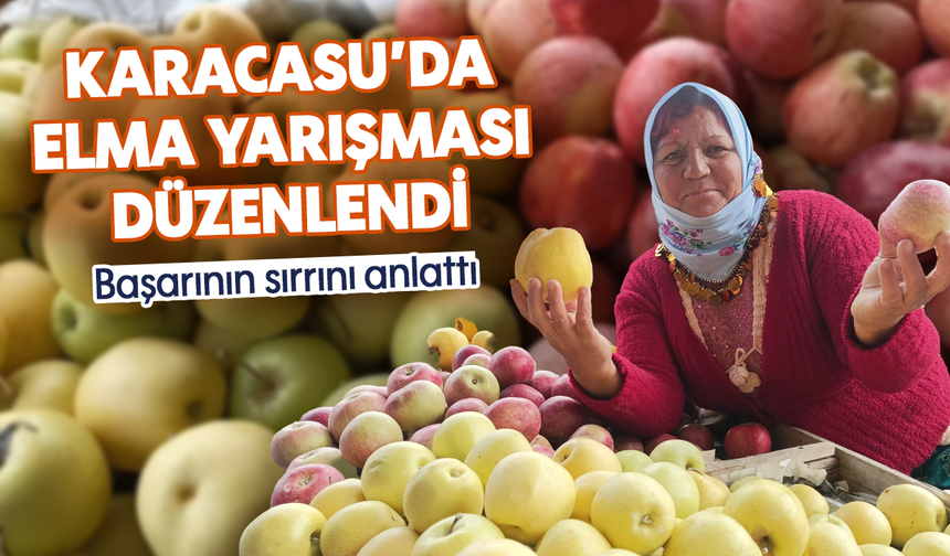 Karacasu'da elma yarışması düzenlendi: Başarının sırrını anlattı