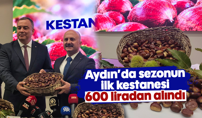 Aydın’da sezonun ilk kestanesi 600 liradan alındı