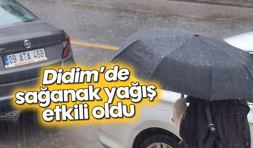 Didim'de sağanak yağış etkili oldu