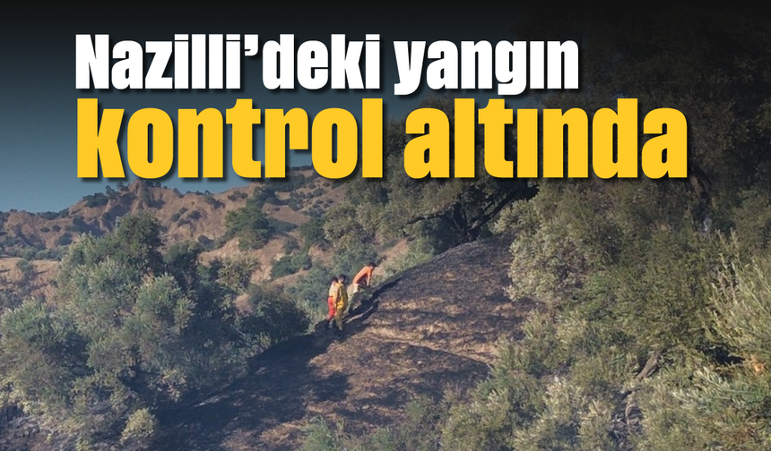 Nazilli'deki yangın kontrol altında