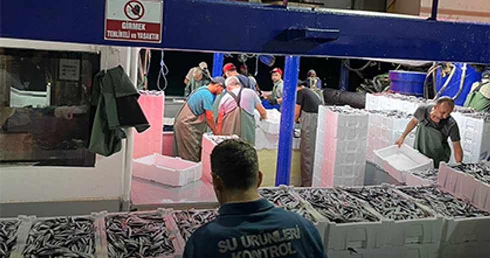 Didim'de 'Hamsi Kotası' denetimi yapıldı