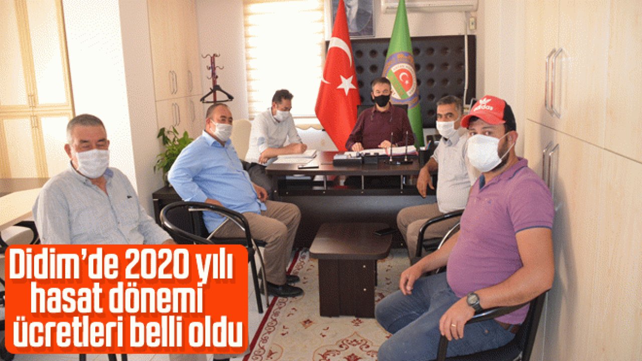 Didim’de 2020 Yılı Hasat Dönemi ücretleri Belli Oldu - Aydın Ses ...