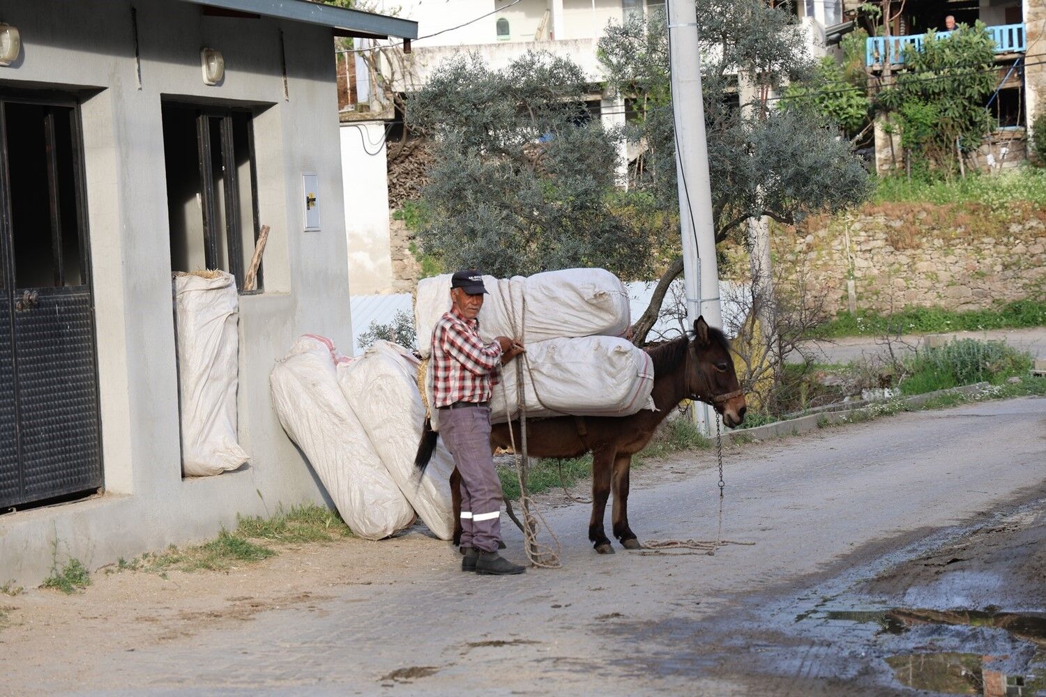 Akaryakit Zamlari At Esek Ve Katirlari Kiymetli Kilmaya Devam Ediyor 2D0Cb145C9C2Ad93E35F3752Eea95E3A