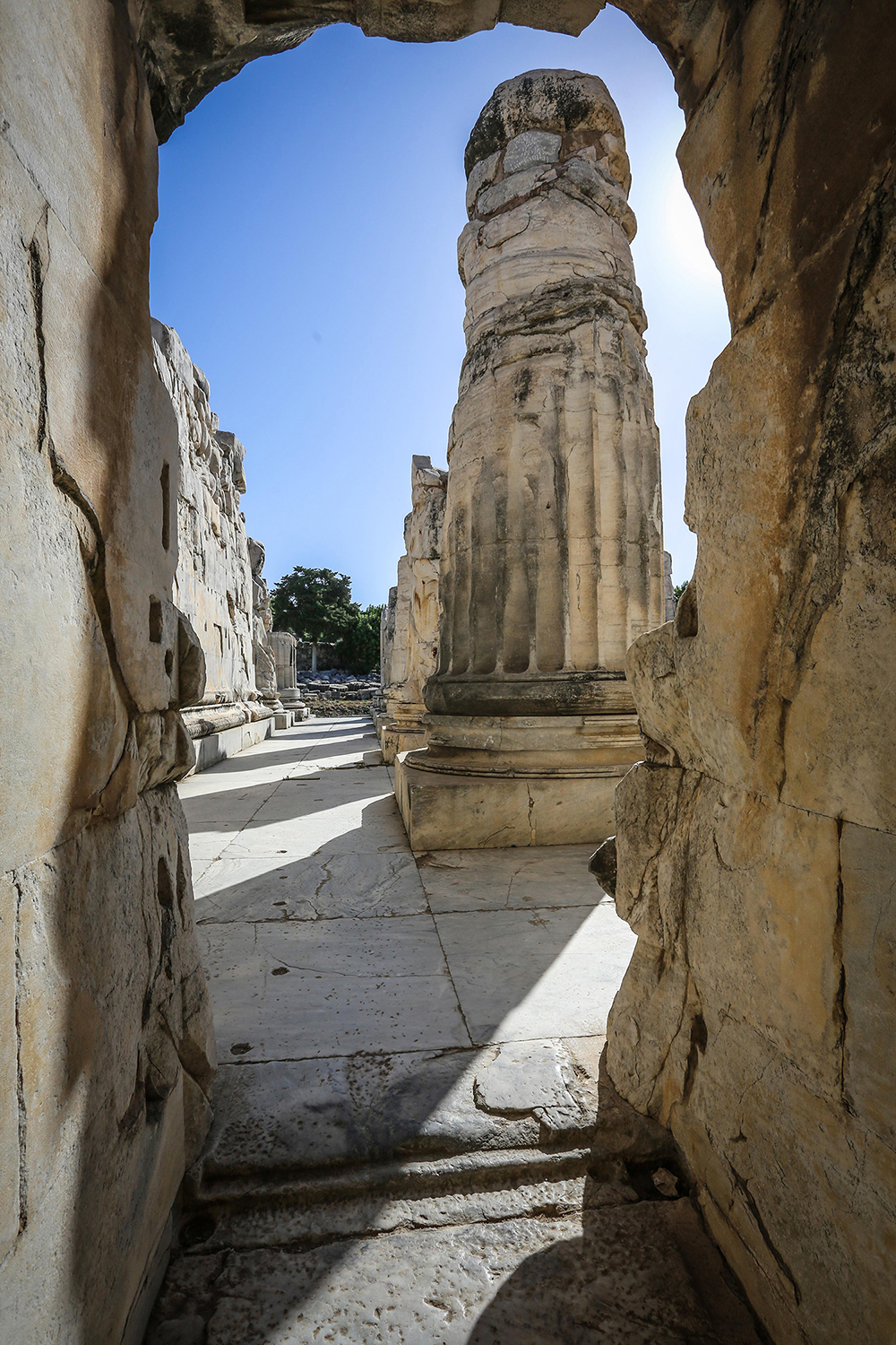 Didyma Antik Sehrinde Yuzyillara Meydan Okuyan Apollon Tapinagi 458789 Cfc843C10D6D53B17C37F06102F62C7E