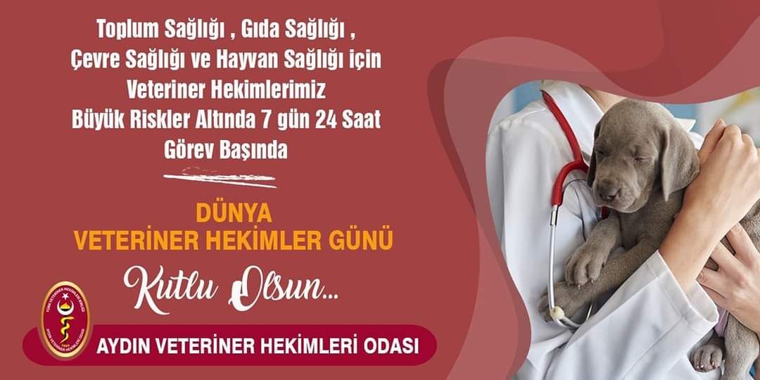 Whatsapp Görsel 2024 05 17 Saat 15.44.13 Da22Cb2B