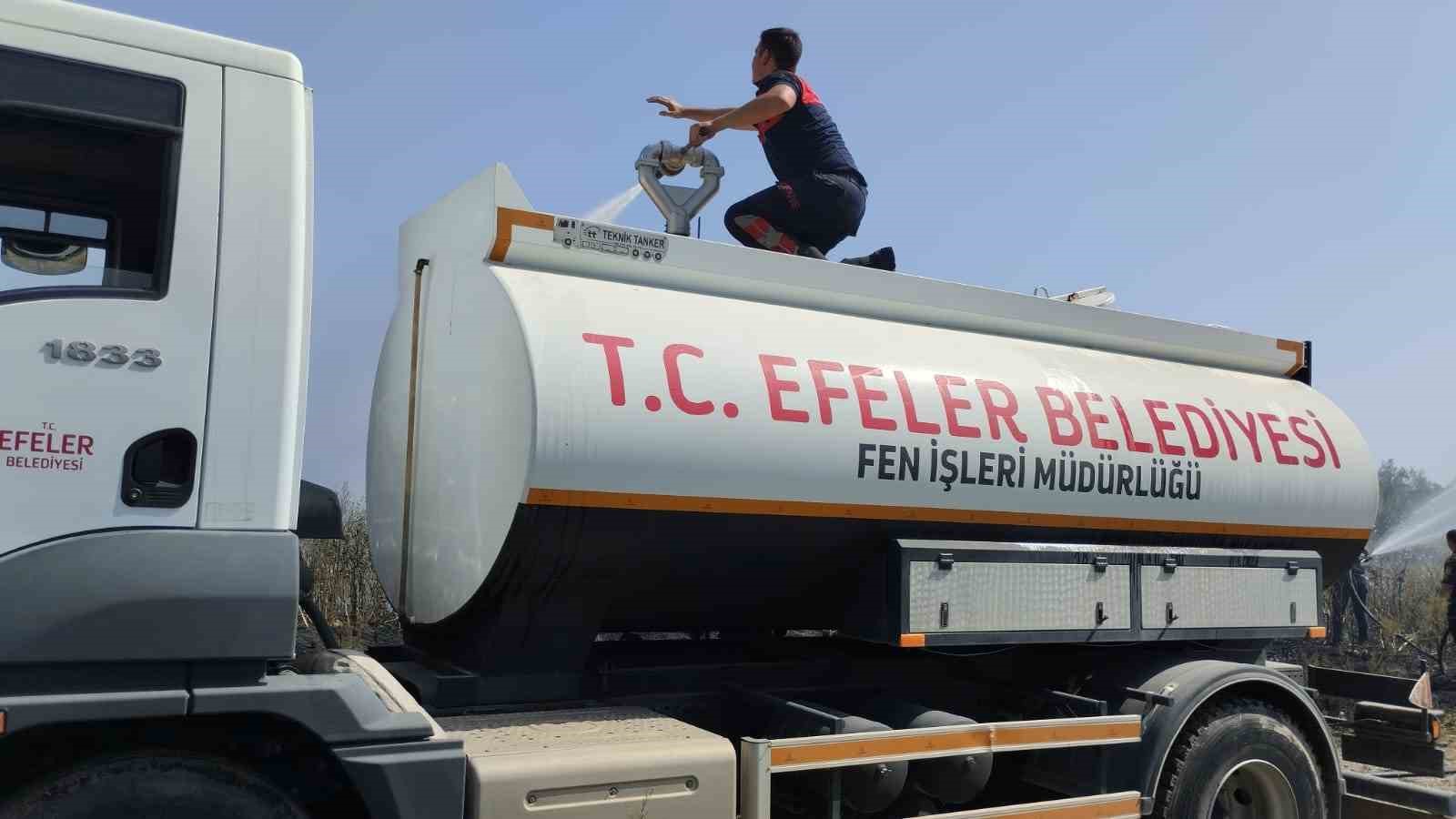 Otluk Alan Yangina Efeler Belediyesinden Hizli Mudahale Da973Ebe0Ec2E5336346E19E852Dc551