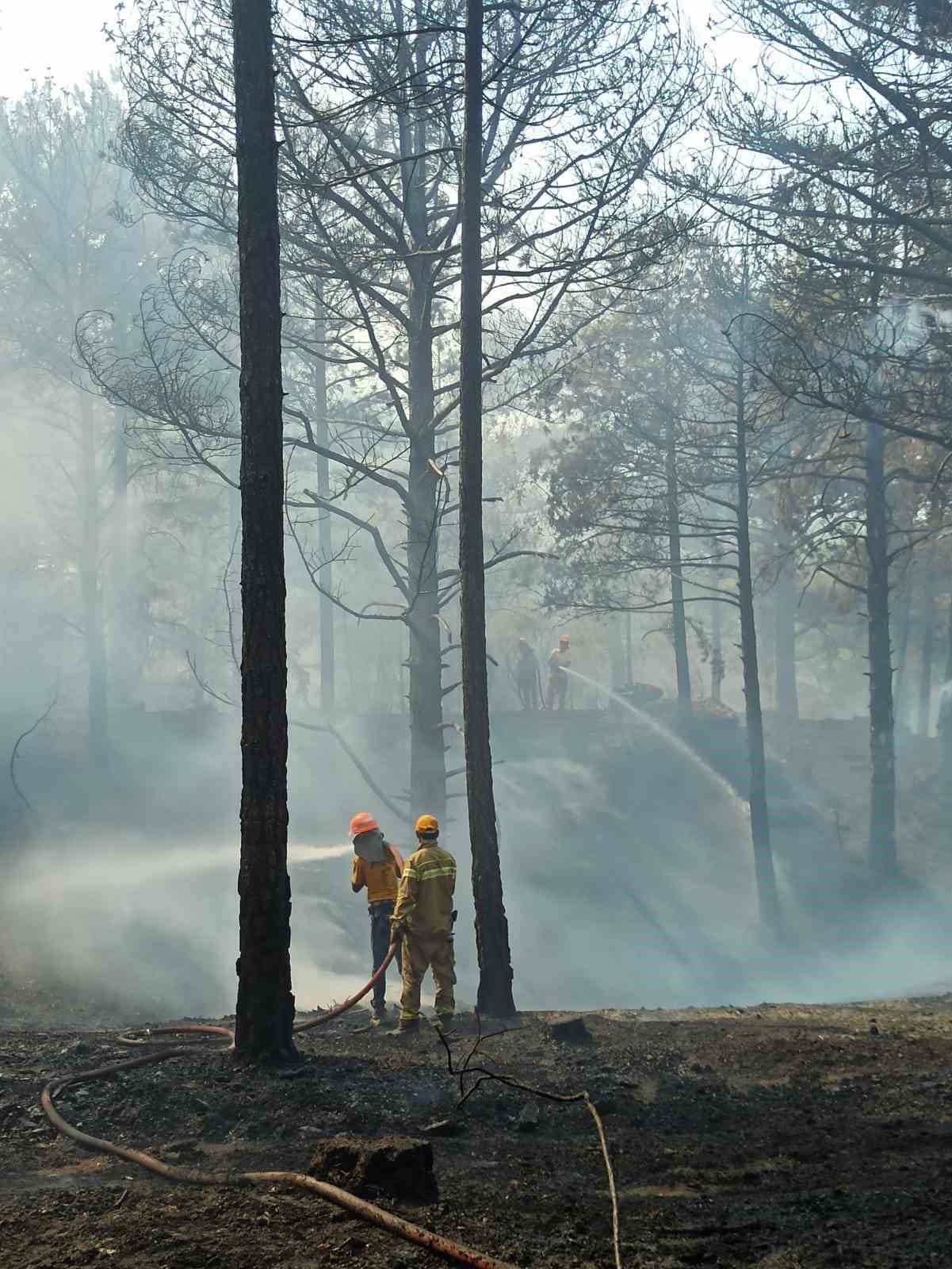 Cinedeki Orman Yanginini Sondurme Calismalari Devam Ediyor 2E9Fcbc31B2F1C3653451B4345E7Cf07