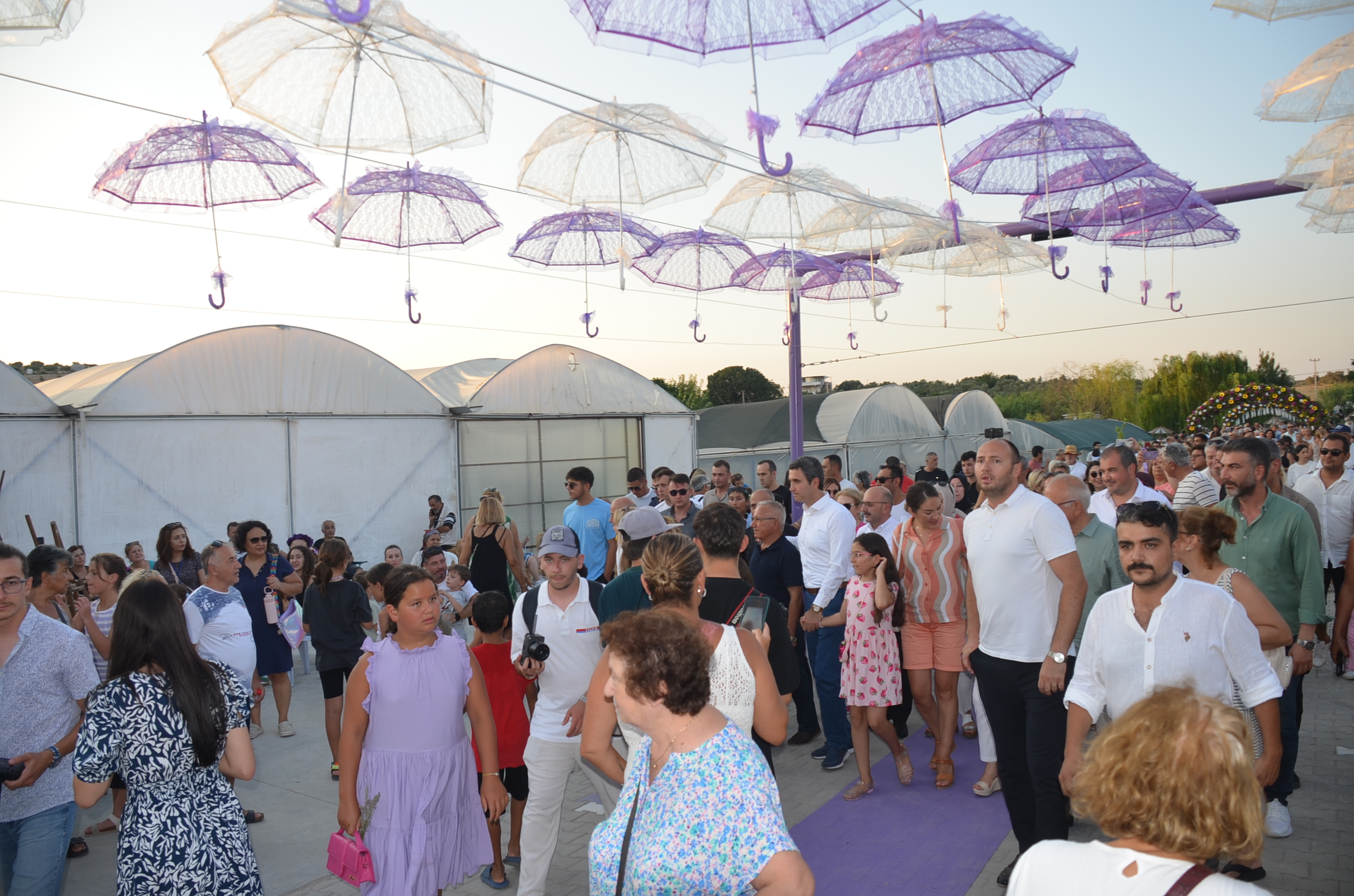 Didim Lavanta Festivalinin 4Su Yapildi 486559 C25Fb65B3E8E78C03Dfd0D4Bdece7A95