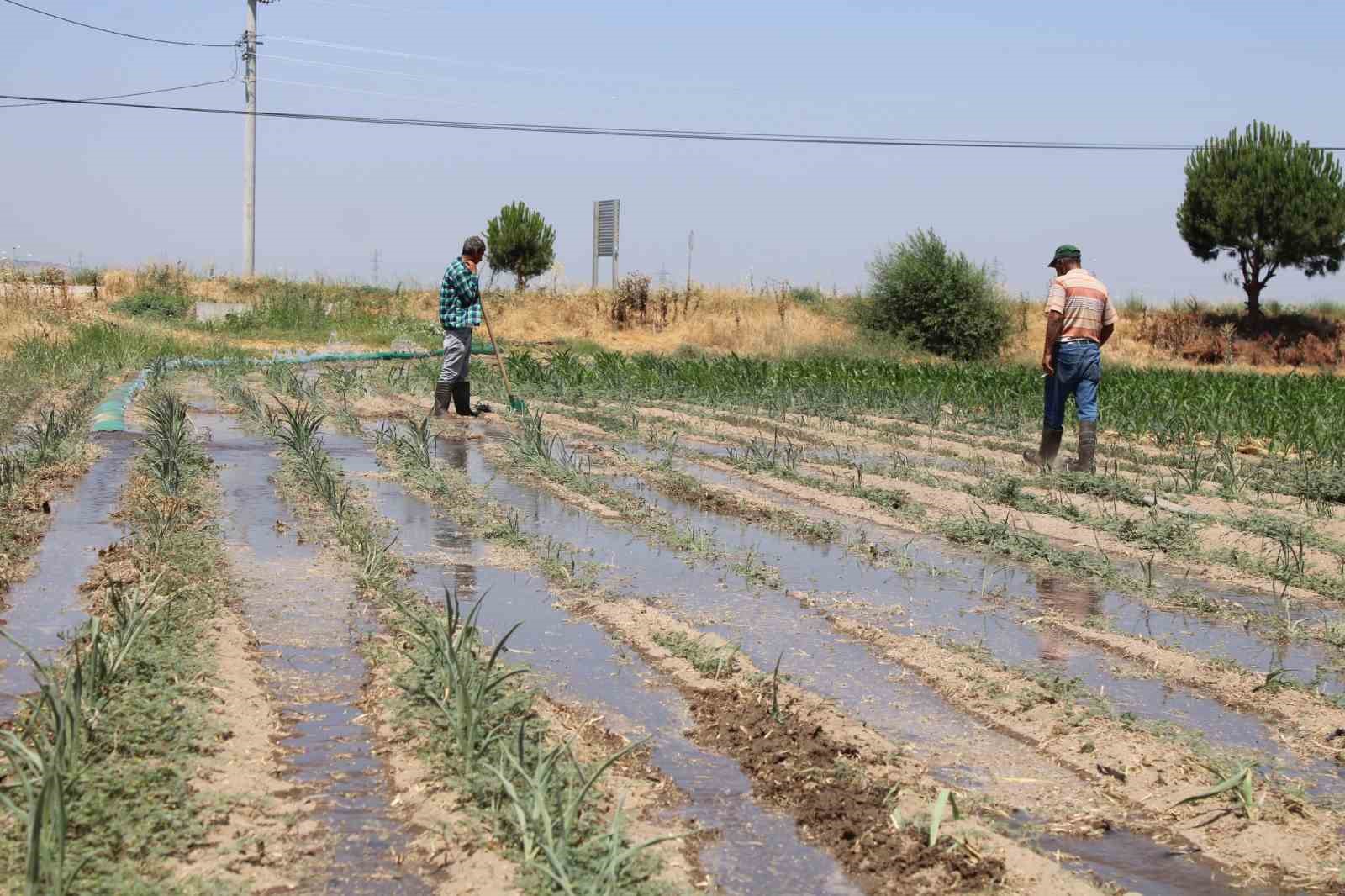 Genclerin Masa Basi Is Sevdasi Turk Tarimina Alarm Verdiriyor 3E05D8F412E2409Da00A4F39Fdcf0203