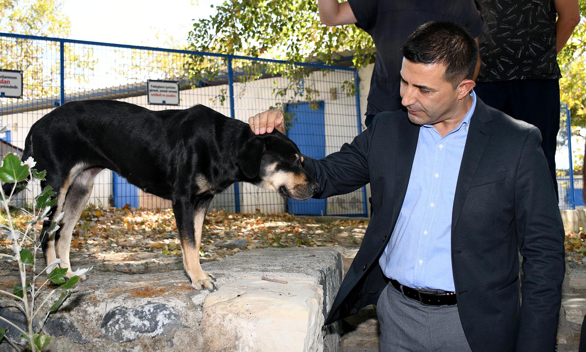 Kusadasi Belediye Meclis Toplantisinda Gundem Sokak Hayvanlari Oldu 492571 54F33C132E4455F5B874D612031Beaf9