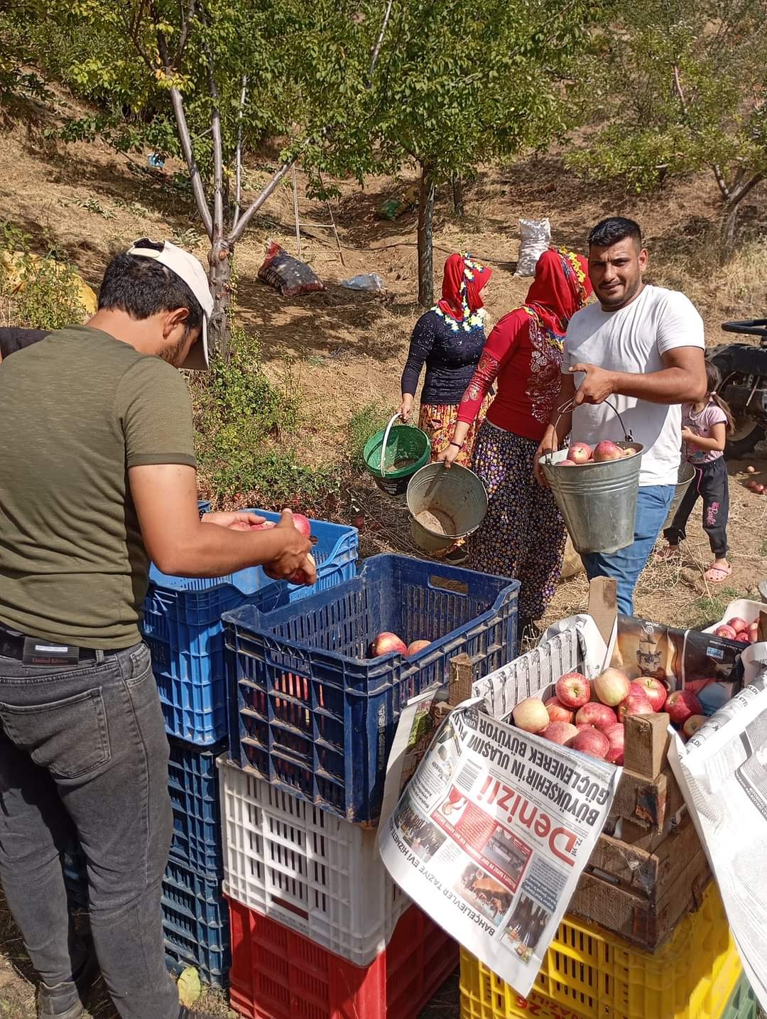 Karacasu Elmasiyla Fark Yaratiyor Yeni Sezon Icin Hasat Basladi 507075 774541Dfc802F6638Ae41104Df126F6D