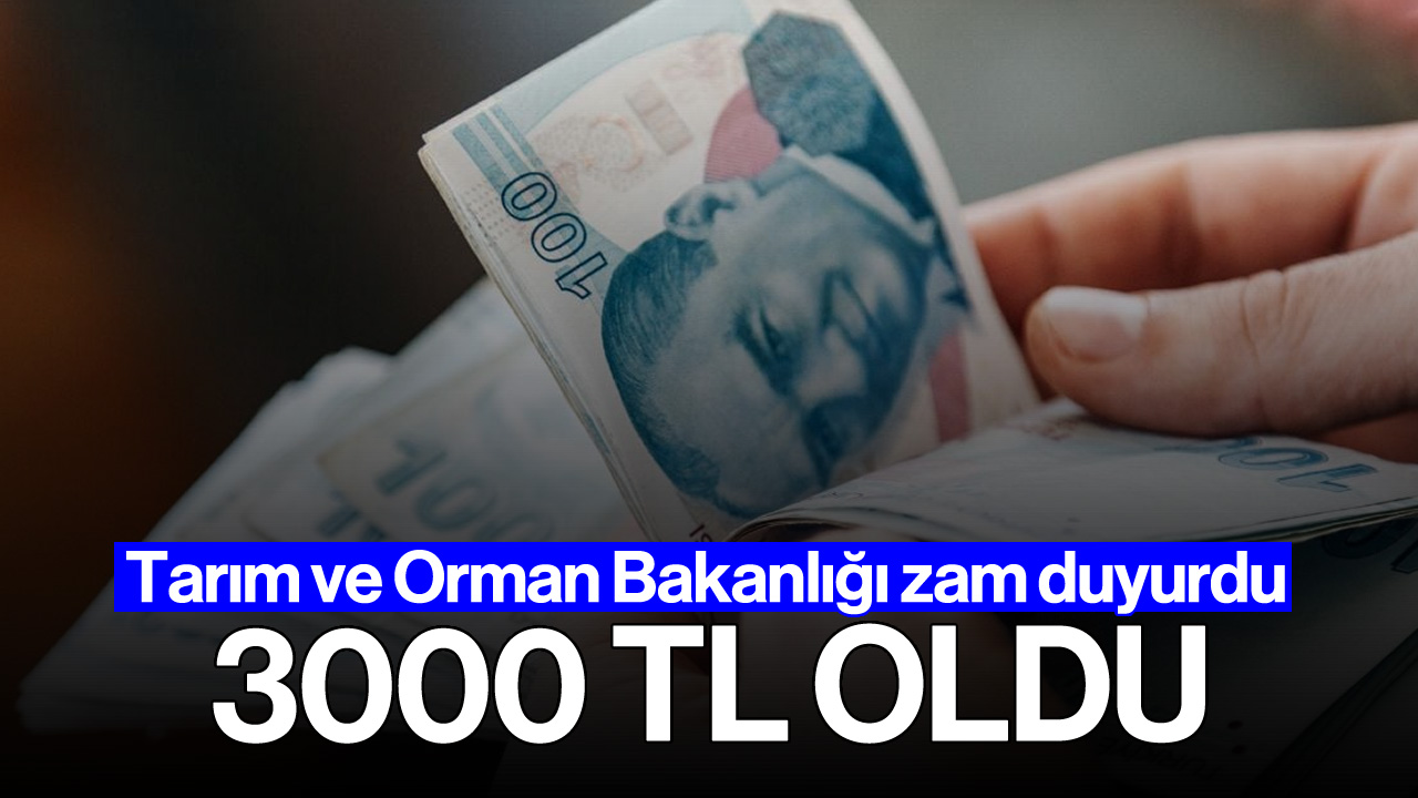 Tarım ve Orman Bakanlığı zam duyurdu: 3000 TL oldu!