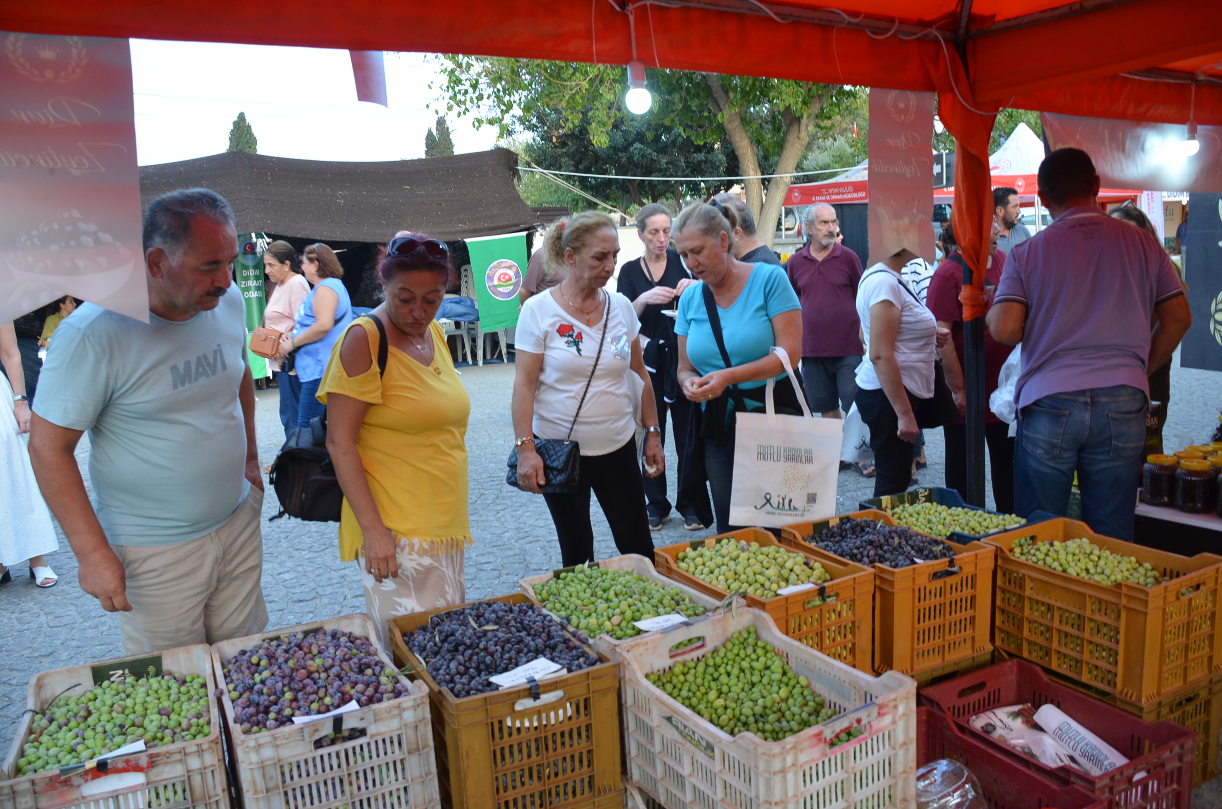 6 Didim Zeytin Festivali Renkli Goruntulerle Basladi 511110 036149Fafa6Ac141D616F65Bd8Cb0Eea (1)