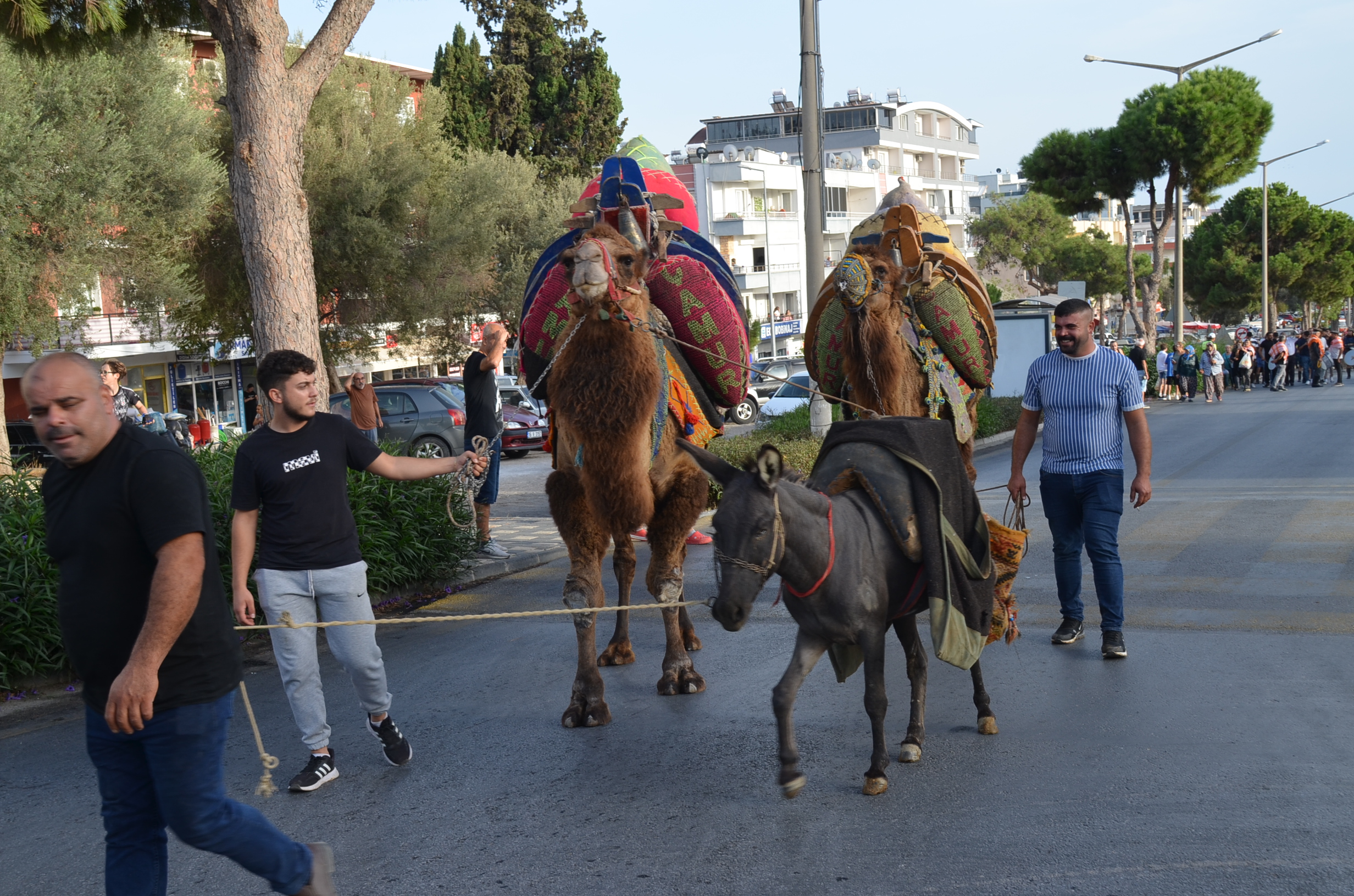 6 Didim Zeytin Festivali Renkli Goruntulerle Basladi 511110 823Ef4217Ec43Bfcaa32090E166Cfc1C