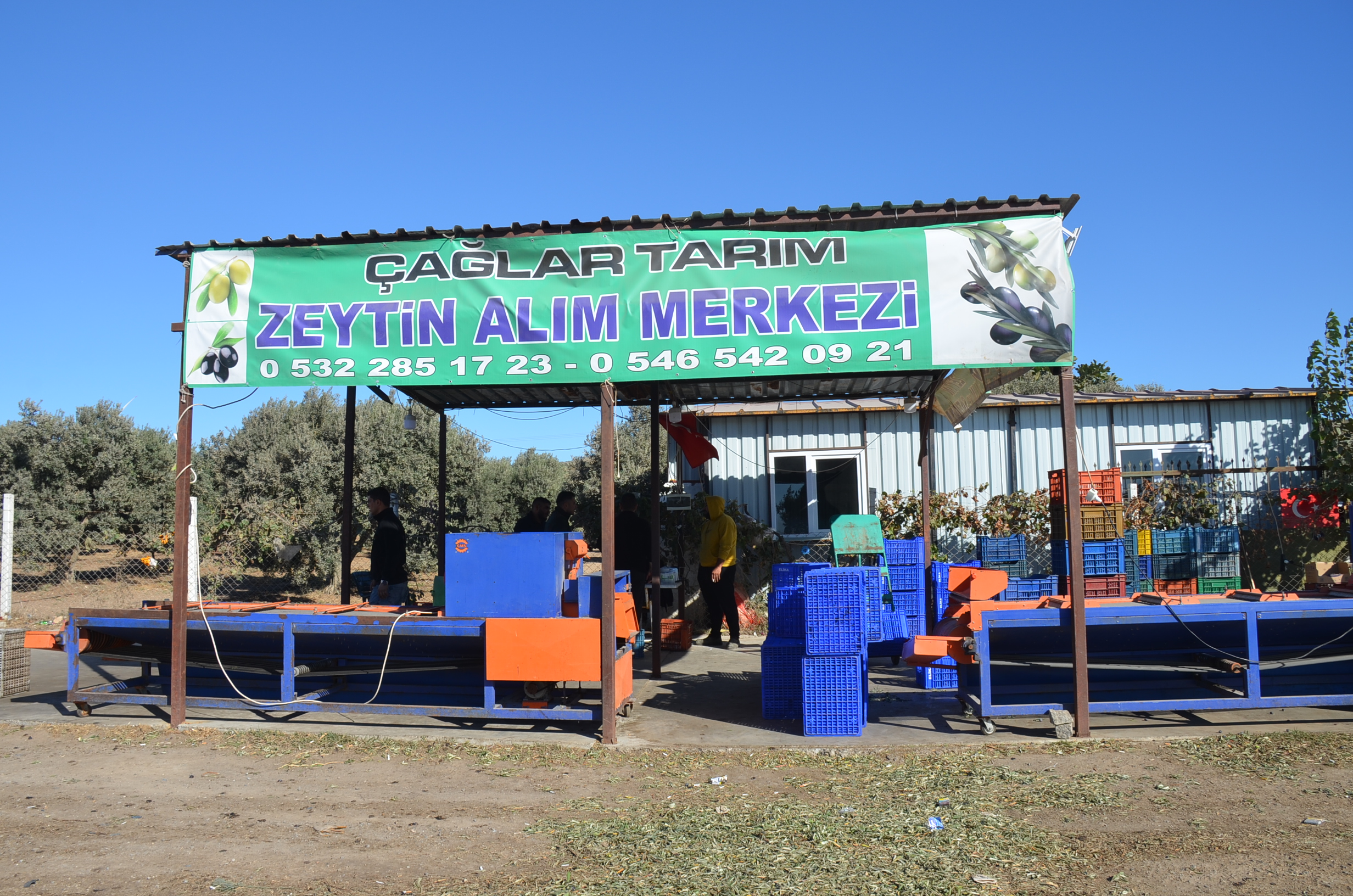 Oncu Firmasi Didimin Zeytinini 110 Ulkeye Ihrac Ediyor Reklam Haber 513204 57D97Ac0C84F250D74E7769Ca7E25842