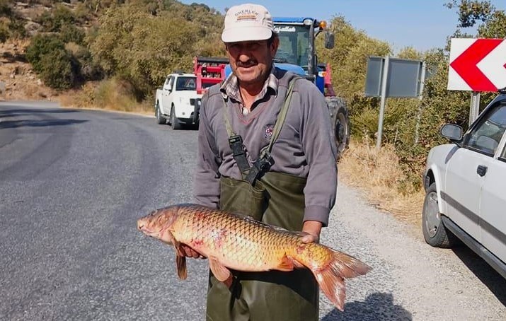 Ekodos Azap Golunun Sansi Tepeli Pelikanlara Dikkat Cekti 333E41Ec624Bf46Aa5Df0Ae9A154D9Ca