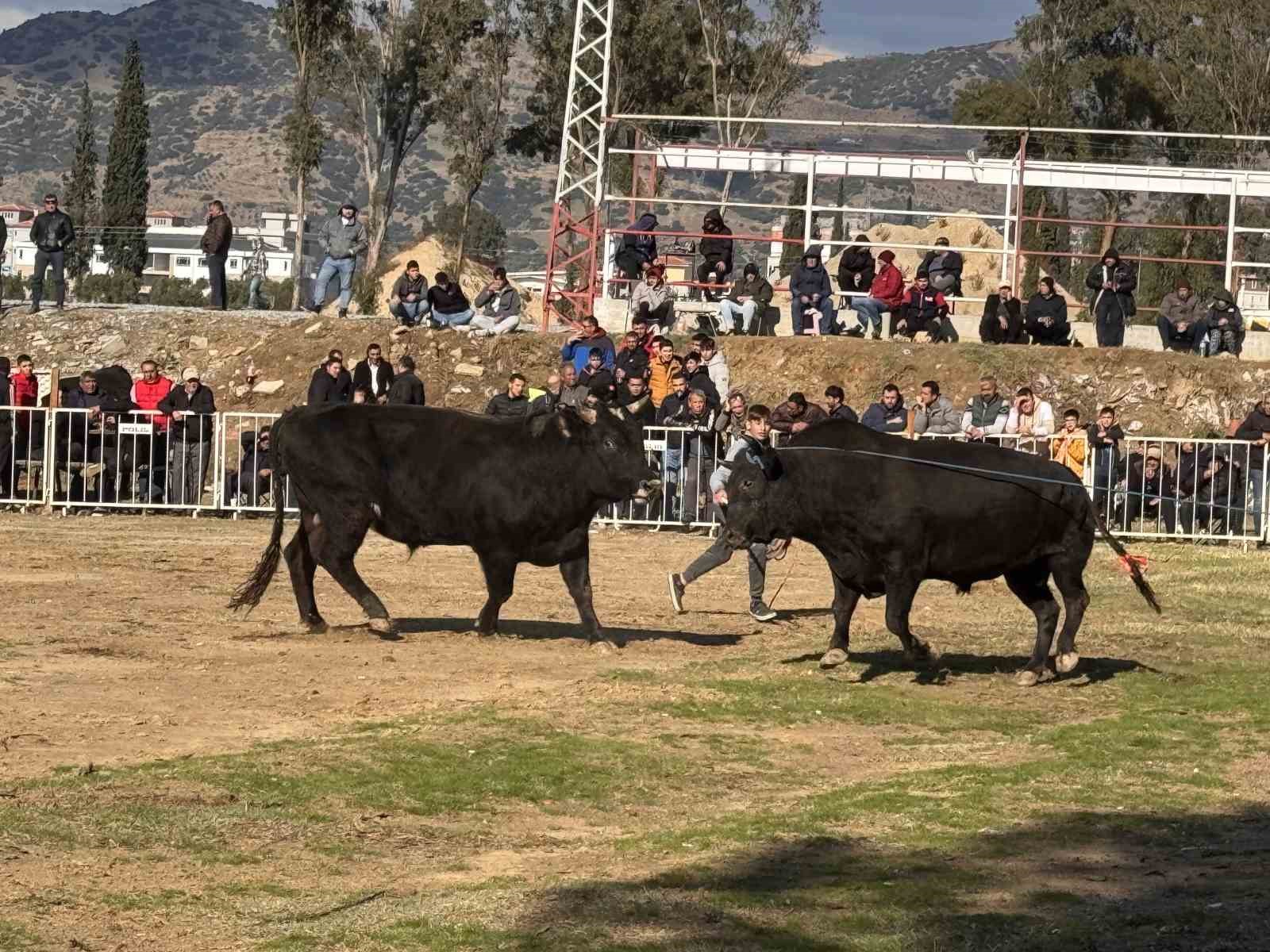 Guresi Kazaninca Davul Zurna Esliginde Oynadi 22Cee58D3E24F5E5F226Cebcf6283174