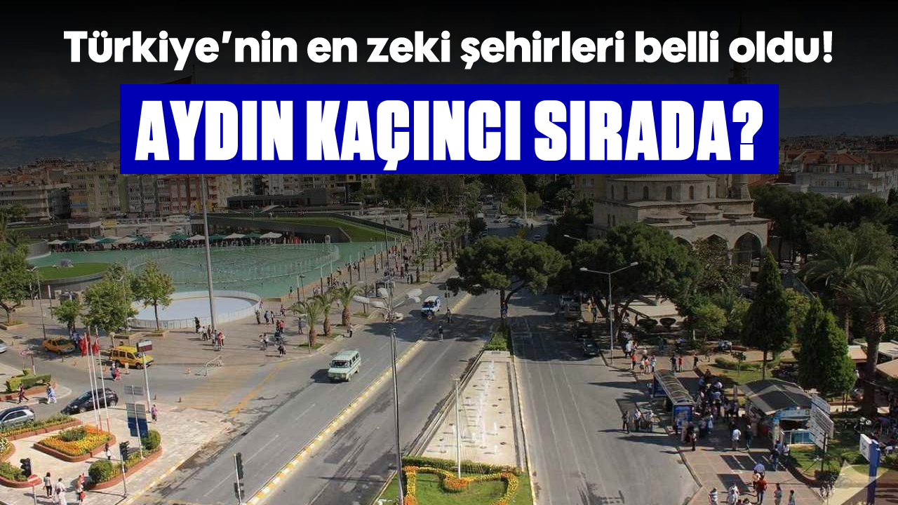 Türkiye'nin en zeki şehirleri belli oldu! Aydın kaçıncı sırada?