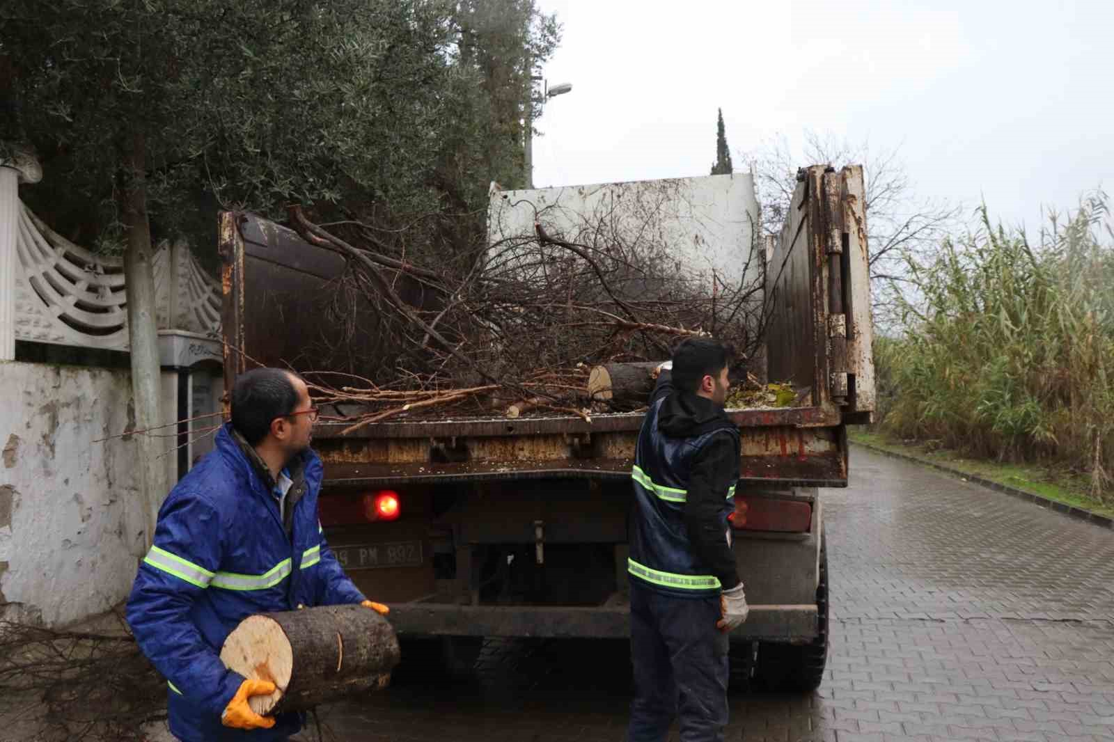 Nazillide Devrilen Agaclar Yakacak Olarak Kullanilacak 1Fdeccb644074B3D861B2Bd9F9Cf91Ef