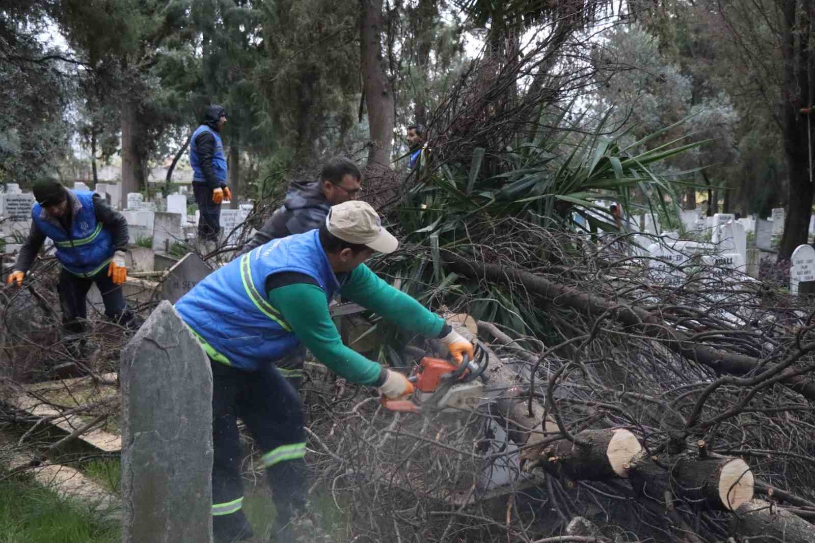 Nazillide Devrilen Agaclar Yakacak Olarak Kullanilacak 490E5F759C7D71273Fa7844897C9910E