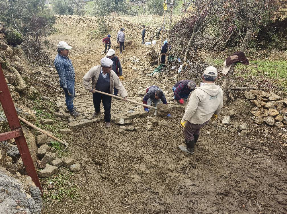 Yenipazarda Yol Sevinci Esekle Gittikleri Yollari Artik Aracla Kullaniyorlar 526553 8482C05924E7Dbfb90718F0Dfb23Cee9