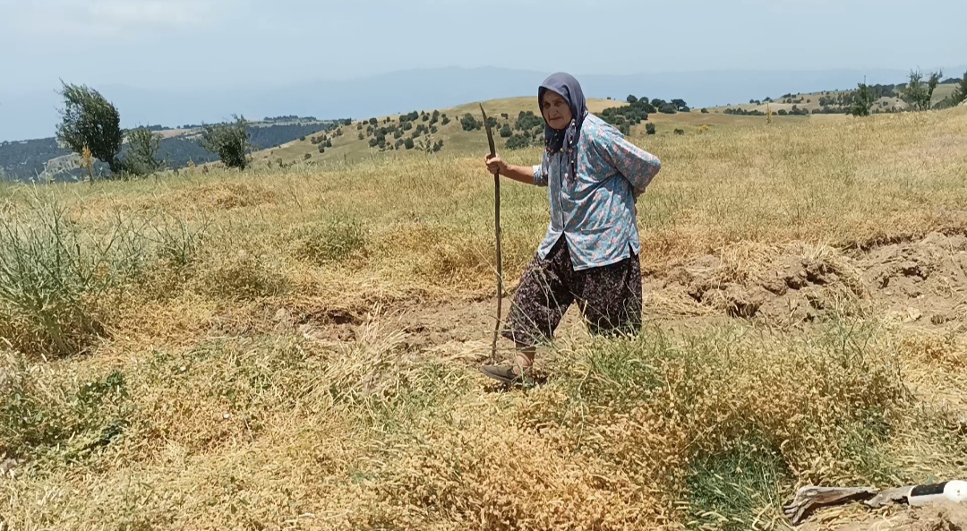 Bir Tarihtir Karacasu Damdereden Atakoye Uzanan Seruven 542911 25D8Cc8C4766D20Fe79D4678A0C97Ab3