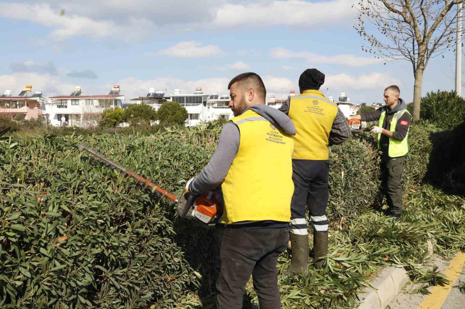 Didim Rengarenk Ciceklerle Suslendi 66Ff27F7979C6D43E98206926Acf81B7