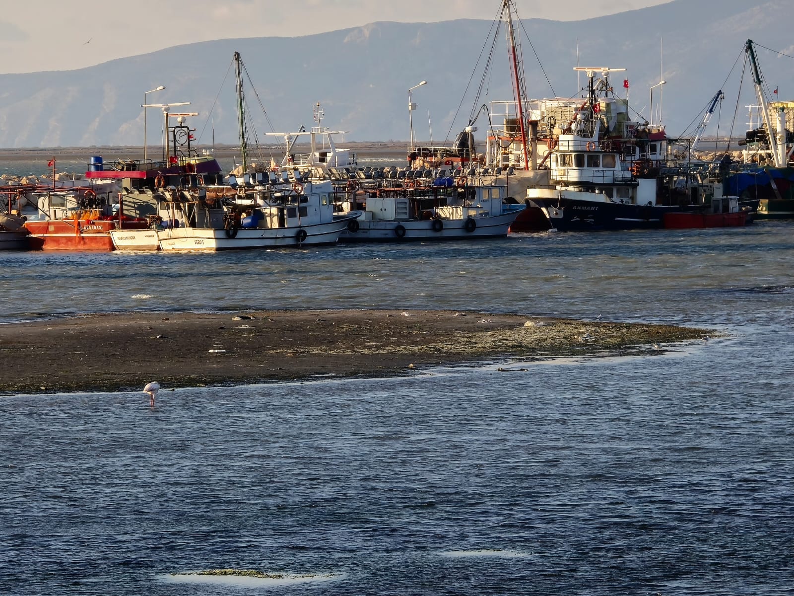 Didim Tasburundaki Deniz Cekilmesi Korkutmasin 542650 146B9Fcde784C46C4Ac730C2Ba12E7Dc